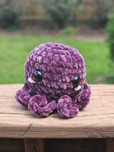 Load image into Gallery viewer, Mini Octo