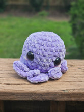 Load image into Gallery viewer, Mini Octo