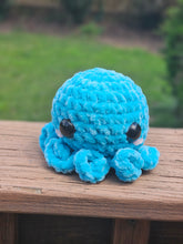 Load image into Gallery viewer, Mini Octo