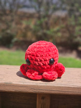Load image into Gallery viewer, Mini Octo