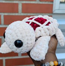 Load image into Gallery viewer, Pie turtles