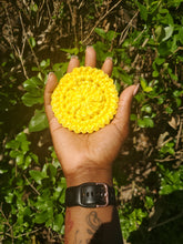 Load image into Gallery viewer, Scrubbies